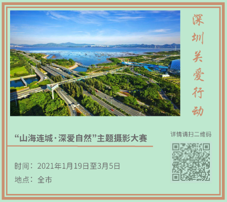 2.健康新年_页面_6.png